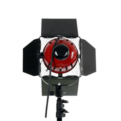 NICEFOTO Redhead Tungsten Halogen Video Lamp Kit 800/800W...