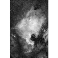 CELESTRON RASA 8" Rowe-Ackermann Schmidt Astrograph 203/400mm f/2