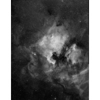CELESTRON RASA 8" Rowe-Ackermann Schmidt Astrograph 203/400mm f/2